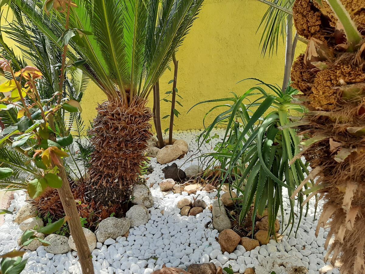 Artistika Golden Apartment Капитана Екстериор снимка